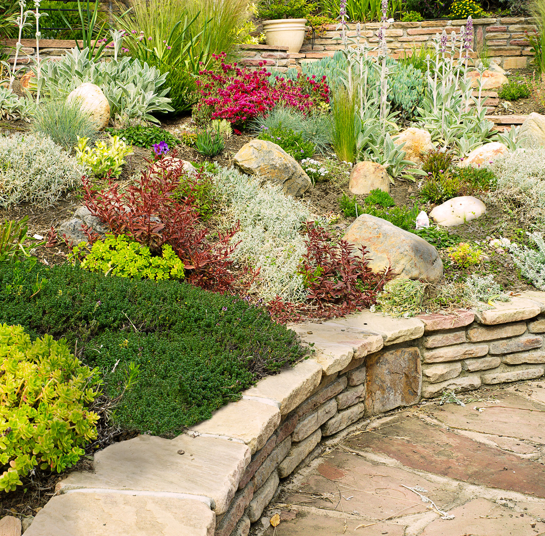 Rock Garden