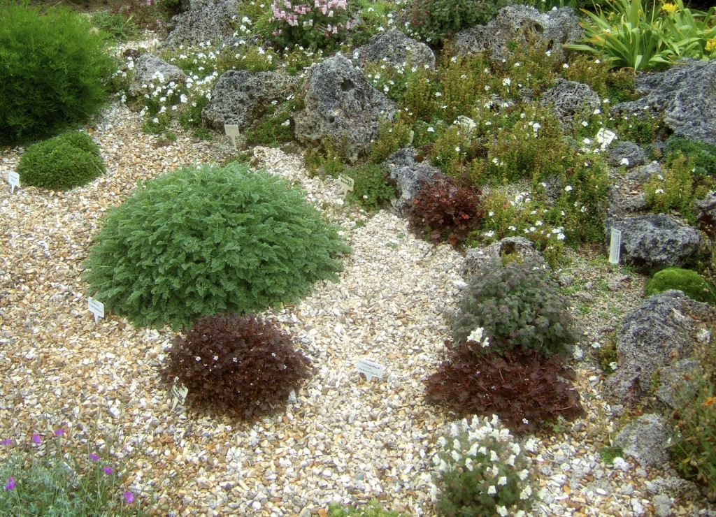 Alpine Rock Garden